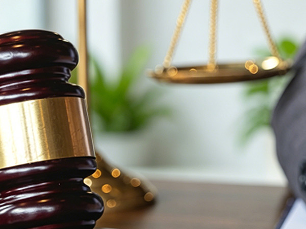 保定张艳亭律师刑事辩护服务